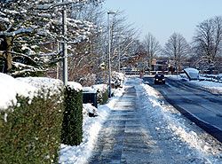 Unf�lle-Gehsteige-Grundst�ckseigent�mer-Hauseigent�mer -St�rze-Generali-Versicherung-Schneer�umungspflicht-Schneer�umung-Schneef�lle-Schnee-Glatteis-Erik Eybl-R�umpflicht-Winterdienst-gefrierender Regen-Streuun
