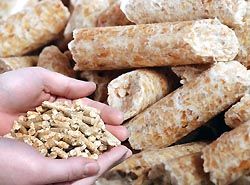 Warnung-Pellets-Arbeiterkammer Niederösterreich-Verein-Pro Pellets Austria-Proben-Superpellets-ÖFI-Österreichisches Forschungsinstitut für Chemie und Technik-ÖNORM-Bad Fischau-Horst Krumholz-Energieexperte-Hermann Haneder-Prä