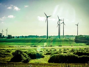 Energie So wechseln Sie zu 100 Prozent Ökostrom