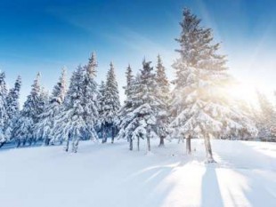 Autofahren Enormes Sparpotenzial beim Winterreifen